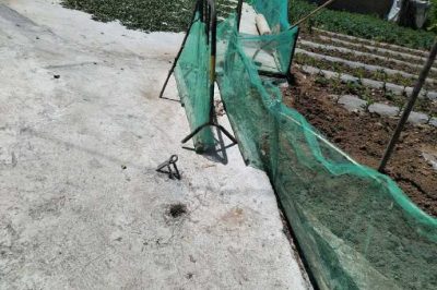 鳳縣供電公司對(duì)電桿拉線進(jìn)行了遷移 鳳縣供電公司對(duì)電桿拉線進(jìn)行了遷移