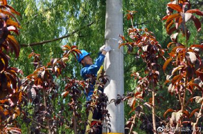 安丘供電公司組織配電運(yùn)維員工助推線路架設(shè) 安丘供電公司組織配電運(yùn)維員工助推線路架設(shè)