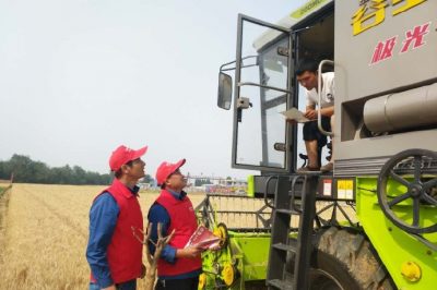 河北電力簡訊：芒種忙忙割，農(nóng)家樂啟鐮