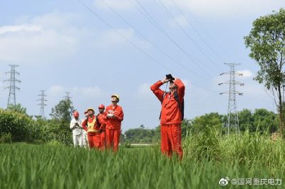 銅梁供電公司對35千伏天平線開展無人機巡視 銅梁供電公司對35千伏天平線開展無人機巡視