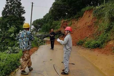 新寧電力公司員工搶修被百年大樹壓斷的電力線路 新寧電力公司員工搶修被百年大樹壓斷的電力線路