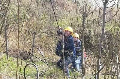 寧遠(yuǎn)供電公司水市供電所讓居民用電“放心” 寧遠(yuǎn)供電公司水市供電所讓居民用電“放心”