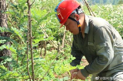 曾都供電公司組織拉網(wǎng)式巡視和樹障清理工作 曾都供電公司組織拉網(wǎng)式巡視和樹障清理工作