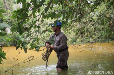 枝江市供電公司田間10千伏配電工程施工 枝江市供電公司田間10千伏配電工程施工