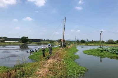蔡甸區(qū)供電公司10kV侏508馬賽線鐵爐支線立桿架線 蔡甸區(qū)供電公司10kV侏508馬賽線鐵爐支線立桿架線