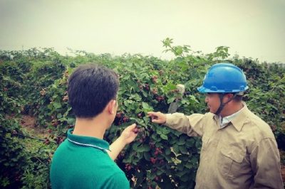 儀征供電公司在生產(chǎn)示范基地開展電力服務(wù) 儀征供電公司在生產(chǎn)示范基地開展電力服務(wù)