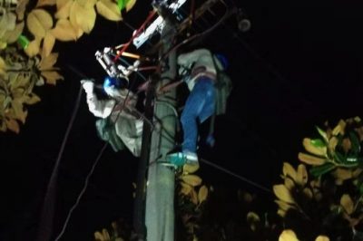 10千伏市府線47-右I 11號桿B相高壓跌落式熔斷器進行緊急處理 10千伏市府線47-右I 11號桿B相高壓跌落式熔斷器進行緊急處理