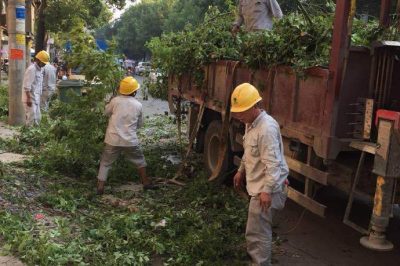 祁陽縣供電公司通宵未眠完成10千伏黎城I線進(jìn)行砍青作業(yè) 祁陽縣供電公司通宵未眠完成10千伏黎城I線進(jìn)行砍青作業(yè)