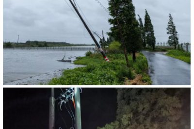 抗擊“利奇馬”的燃情時(shí)光–積極應(yīng)對(duì)災(zāi)情 抗擊“利奇馬”的燃情時(shí)光–積極應(yīng)對(duì)災(zāi)情