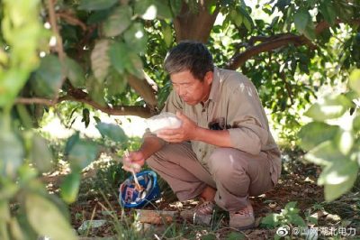 全速搶修被風(fēng)災(zāi)折彎的35千伏宏發(fā)紙業(yè)線30-34號鐵塔 全速搶修被風(fēng)災(zāi)折彎的35千伏宏發(fā)紙業(yè)線30-34號鐵塔