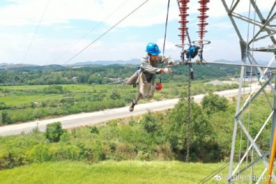“不要命”的蛇爬上桿塔導致線路跳閘 “不要命”的蛇爬上桿塔導致線路跳閘