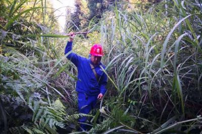 涼山供電公司在35千伏城瑯線開展線路巡視工作 涼山供電公司在35千伏城瑯線開展線路巡視工作