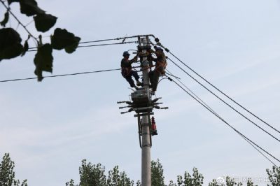 東阿縣供電公司新架設(shè)電桿5基、絕緣導(dǎo)線1000米