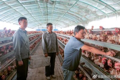 東光縣供電公司購買養(yǎng)殖戶雞蛋助力陳坊村實現(xiàn)精準(zhǔn)脫貧 東光縣供電公司購買養(yǎng)殖戶雞蛋助力陳坊村實現(xiàn)精準(zhǔn)脫貧