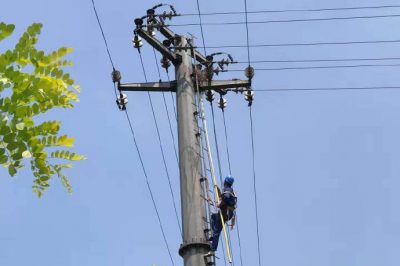隆堯縣供電公司在10千伏線路進行鳥窩清理工作 隆堯縣供電公司在10千伏線路進行鳥窩清理工作