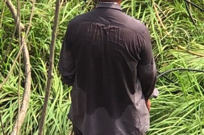 贛州開(kāi)發(fā)區(qū)供電公司搶修蟠龍鎮(zhèn)楊邊村10千伏章楊線