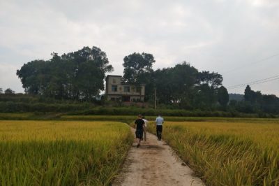 武岡市供電公司對兄弟單位開展扶貧領域專項監(jiān)督檢查 武岡市供電公司對兄弟單位開展扶貧領域專項監(jiān)督檢查