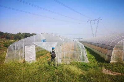 湖北檢修公司在超高壓線(xiàn)路附近向農(nóng)戶(hù)宣傳線(xiàn)路防外破知識(shí) 湖北檢修公司在超高壓線(xiàn)路附近向農(nóng)戶(hù)宣傳線(xiàn)路防外破知識(shí)