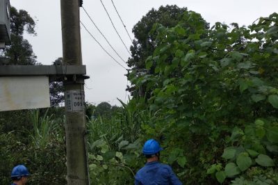 天府新區(qū)供電公司冒雨對線路通道進(jìn)行清理 天府新區(qū)供電公司冒雨對線路通道進(jìn)行清理