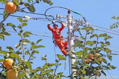 東臺(tái)市供電公司改造10千伏唐聯(lián)線61號(hào)桿以下線路 東臺(tái)市供電公司改造10千伏唐聯(lián)線61號(hào)桿以下線路