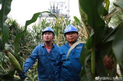 巡檢10千伏疏港線大石橋支線 發(fā)現(xiàn)隱患及時(shí)消缺整改 巡檢10千伏疏港線大石橋支線 發(fā)現(xiàn)隱患及時(shí)消缺整改