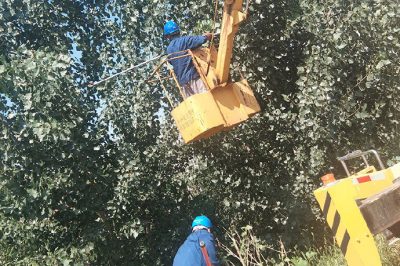 35千伏嚴(yán)西3822線路超高樹木進(jìn)行修剪 35千伏嚴(yán)西3822線路超高樹木進(jìn)行修剪