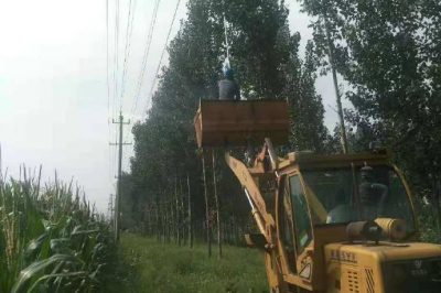 龍華村5621線路區(qū)20支線開展樹障清理 龍華村5621線路區(qū)20支線開展樹障清理