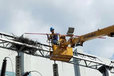 海寧市供電公司拆除贊山邊門架二號(hào)主變上兩處“巨型”鳥窩 海寧市供電公司拆除贊山邊門架二號(hào)主變上兩處“巨型”鳥窩