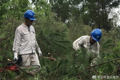 綦南供電公司對供電轄區(qū)10千伏壩扶線電力通道進行樹障砍伐清理 綦南供電公司對供電轄區(qū)10千伏壩扶線電力通道進行樹障砍伐清理