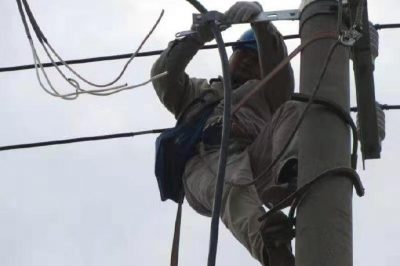 高郵湖避風港開展電力工程擴建 高郵湖避風港開展電力工程擴建