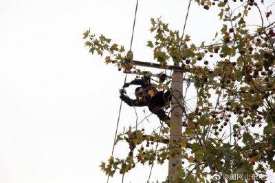 招遠市供電公司在10千伏市區(qū)線進行裝件打拉線作業(yè) 招遠市供電公司在10千伏市區(qū)線進行裝件打拉線作業(yè)