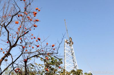 青州市供電公司登高組立10千伏公社線鐵塔 青州市供電公司登高組立10千伏公社線鐵塔