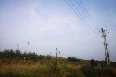 10千伏馬項線041線路東通樂村支路進行線路改造