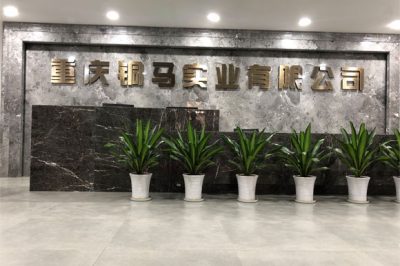 重慶有多少電廠？