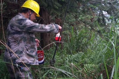 為輸電線路涂刷防銹漆 為輸電線路涂刷防銹漆