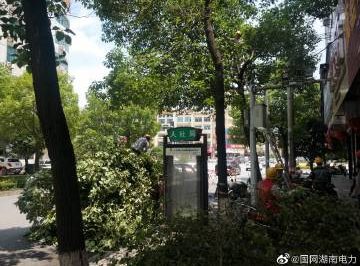 #向配網(wǎng)開戰(zhàn)#風(fēng)景這邊獨(dú)好，砍青掃障