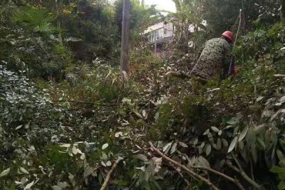 “剃須理發(fā)”，保持供電線路暢通