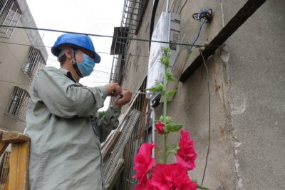 麻桿花的自述 麻桿花的自述