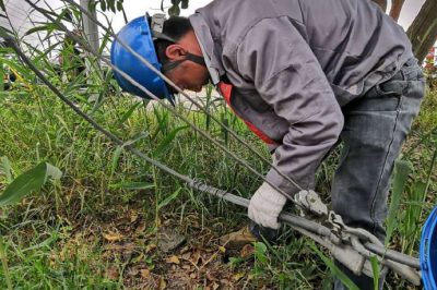 肇事拉線傷、電工搶修忙