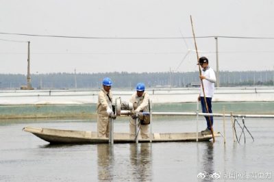 新增配電變壓器為湖畔生態(tài)農(nóng)場添“動(dòng)力” 新增配電變壓器為湖畔生態(tài)農(nóng)場添“動(dòng)力”