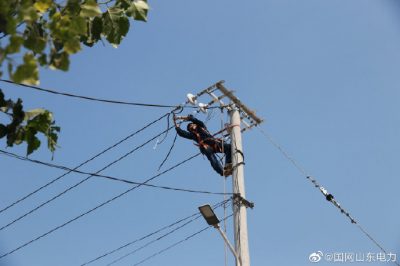 東阿縣供電公司對西張村線路進(jìn)行升級改造