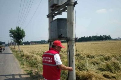 保供電#喜看稻菽千重浪，電力小哥巡視忙 “安全豐收”