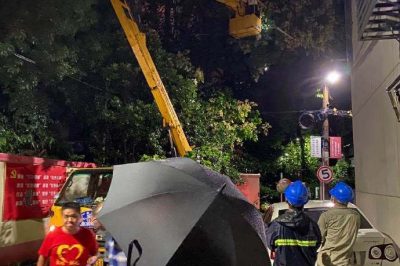 無懼大風(fēng)，連夜搶修供電線路