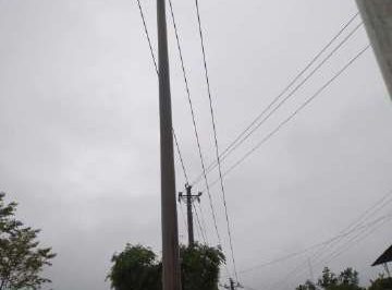 暴雨致電桿歪斜，供電員工搶修扶正