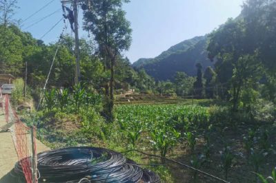 農(nóng)網(wǎng)升級任務緊  電力員工施工忙