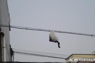 你的隨手一“拋”，可能導(dǎo)致跳閘停電！