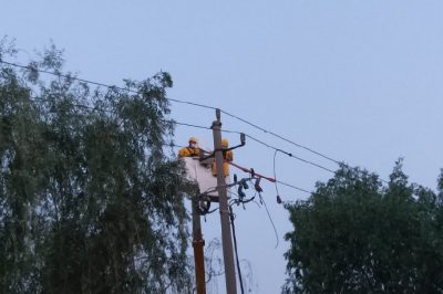 帶電作業(yè)保供電 優(yōu)質服務展形象