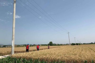 給麥田里的電桿拉線加裝安全警示標(biāo)志 給麥田里的電桿拉線加裝安全警示標(biāo)志