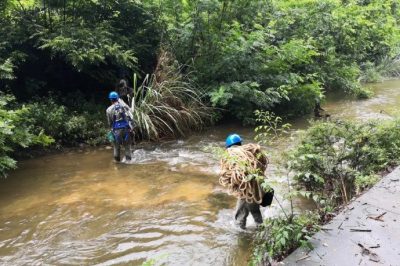 利用X光檢測設(shè)備對導(dǎo)線進(jìn)行“全面體檢” 利用X光檢測設(shè)備對導(dǎo)線進(jìn)行“全面體檢”