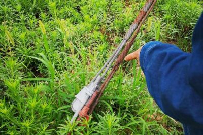 重點檢查防撞標識、接點測溫、螺栓及拉線松動